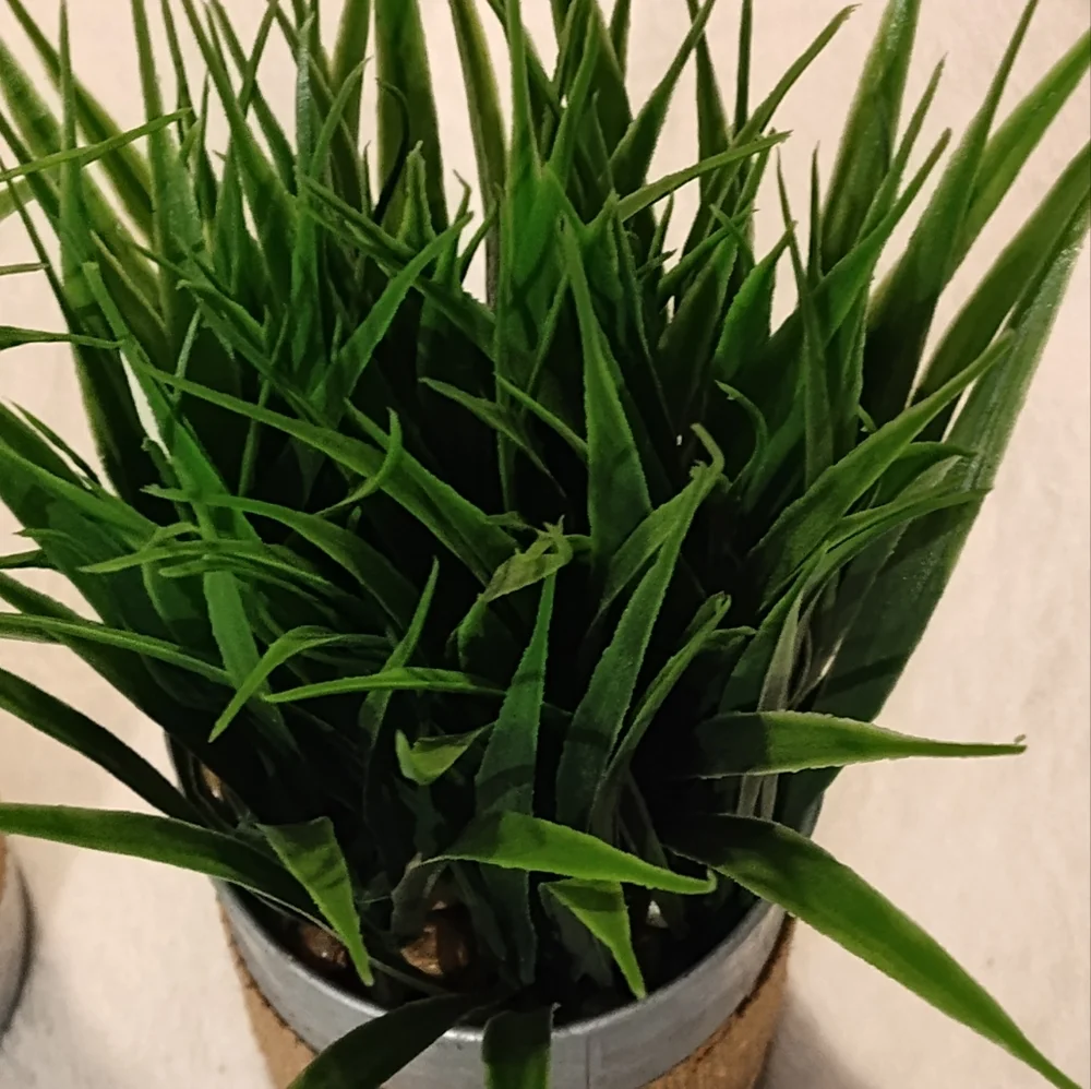 NEW! 2- Artificial Potted Grass Plants